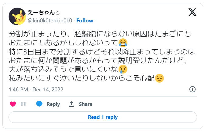 胚盤胞まで育たない2