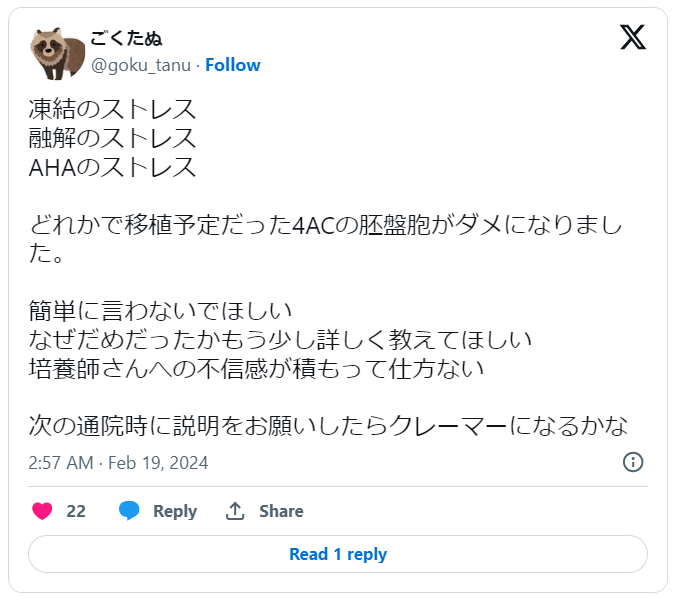 胚盤胞まで育たない1