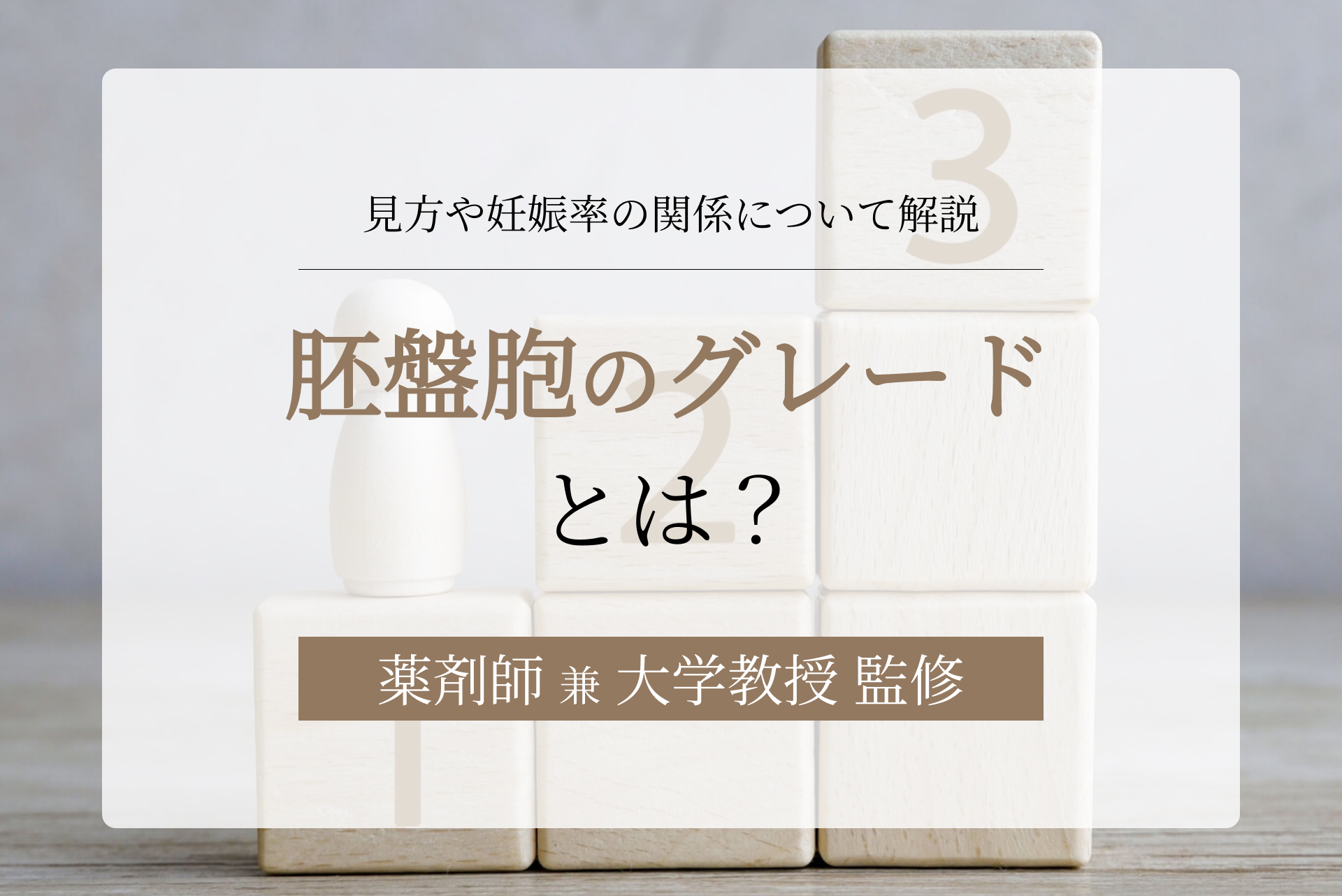 胚盤胞のグレードとは？見方や年齢と妊娠率の関係について解説