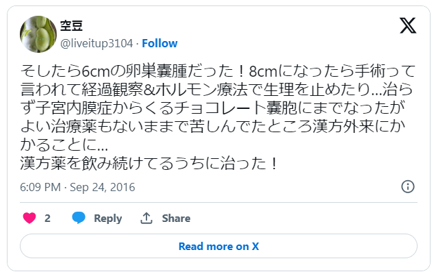 チョコレート嚢胞漢方1