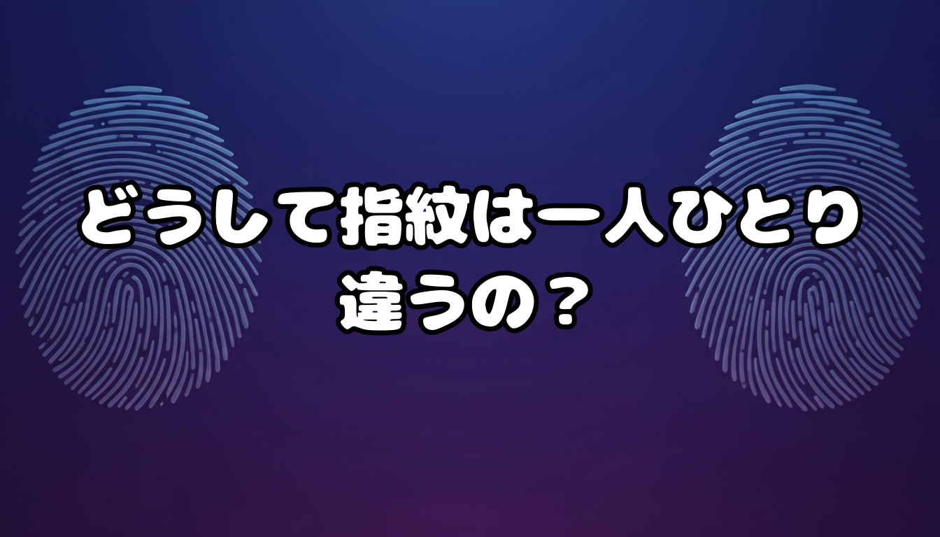 どうして指紋は一人ひとり違うの?