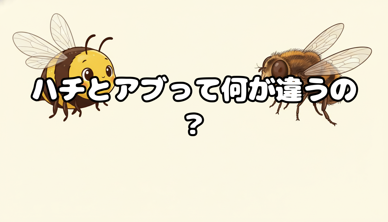ハチとアブって何が違うの?