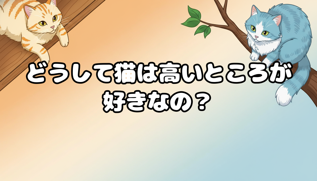 どうして猫は高いところが好きなの?