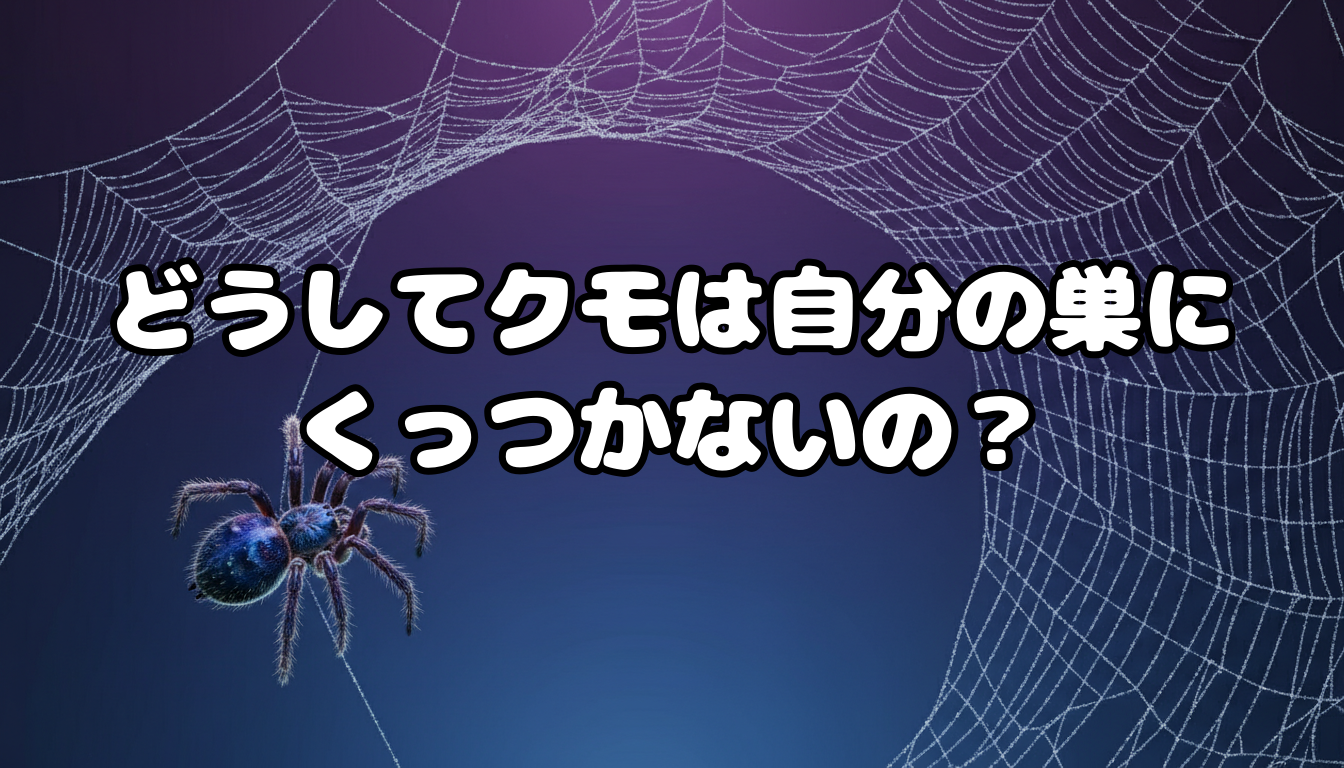 どうしてクモは自分の巣にくっつかないの?