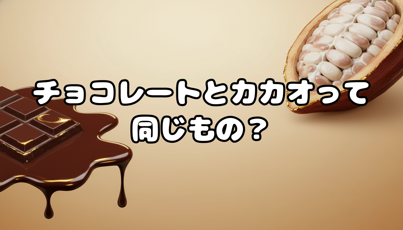 チョコレートとカカオって同じもの?
