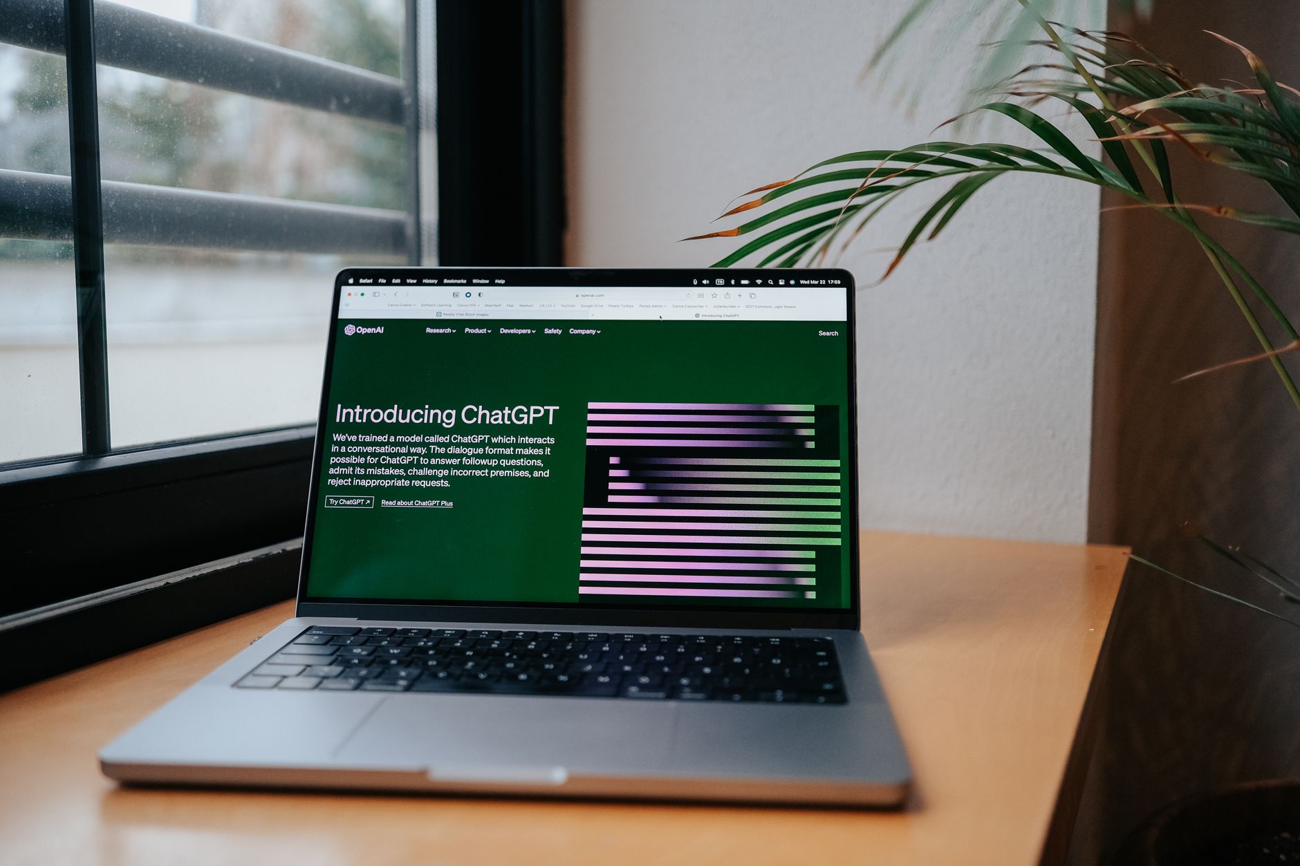 AIライティングツール おすすめ比較!Grammarly・DeepL Write・ChatGPT【2026年最新】