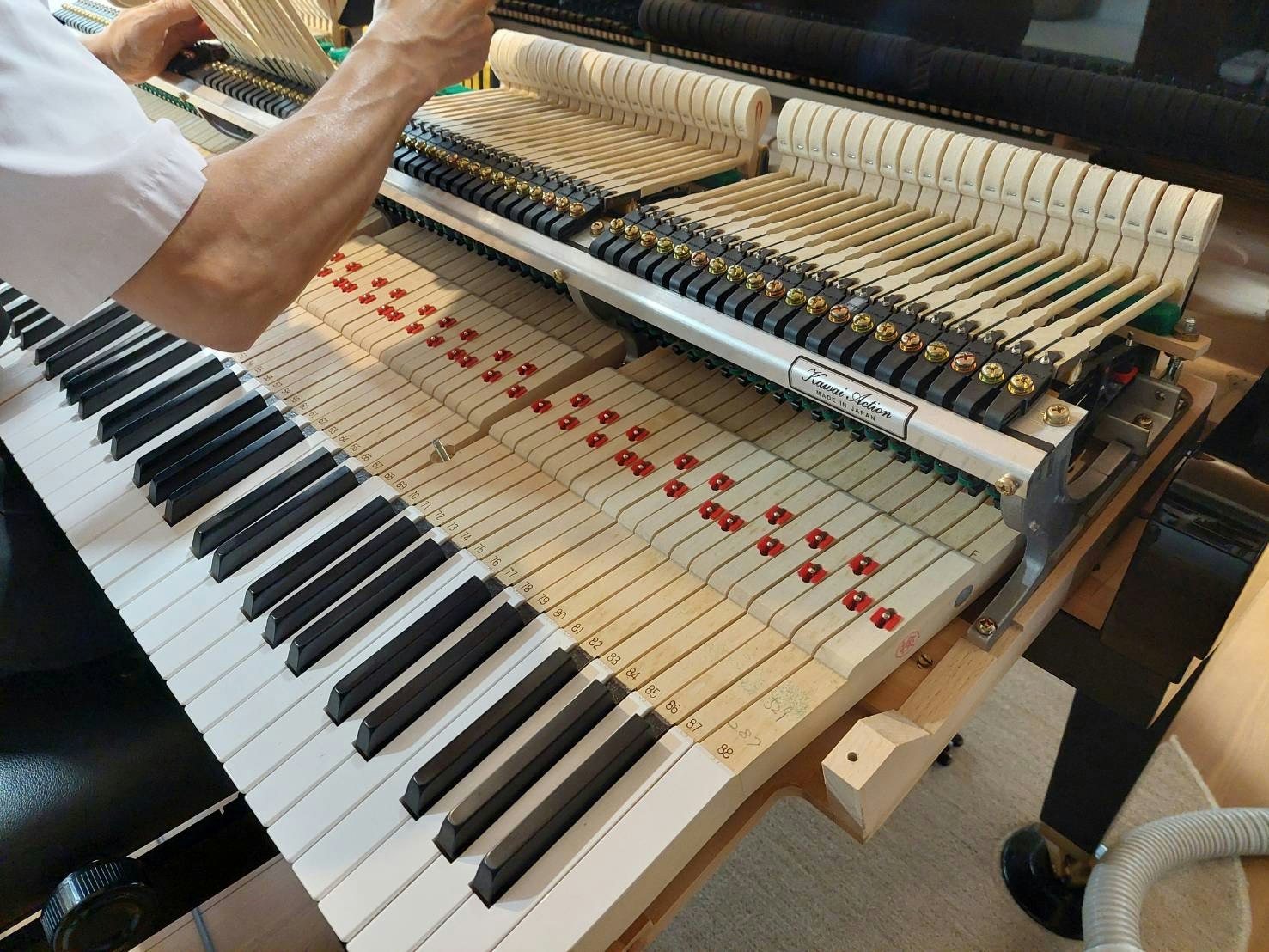 ピアノを調律していただきました🎹