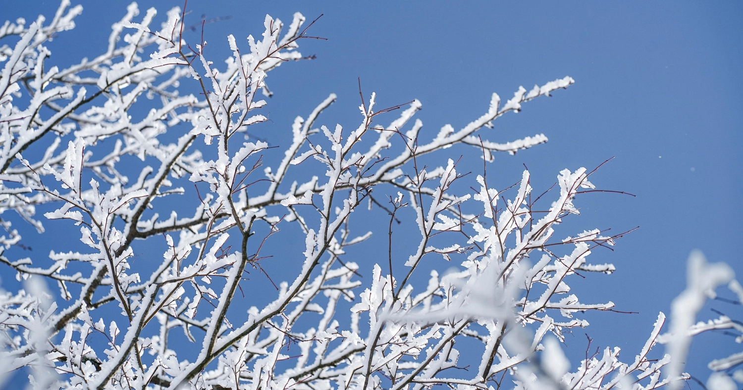 2025年 年末年始休業のお知らせ