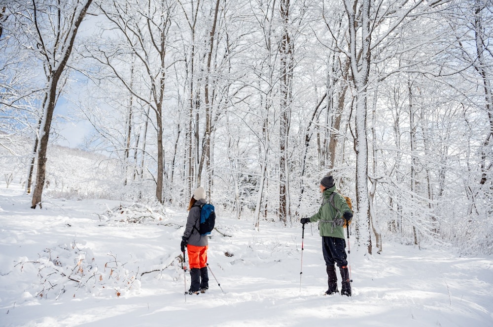 雪でこそ本領発揮ウィンタートレイルパンツ｜初冬の北海道でフィールドレビュー