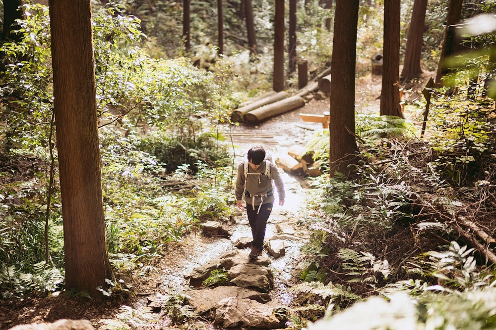 【PICKUP】秋の雨にも負けない！防水仕様の軽量ハイキングシューズで秋山を楽しみませんか？