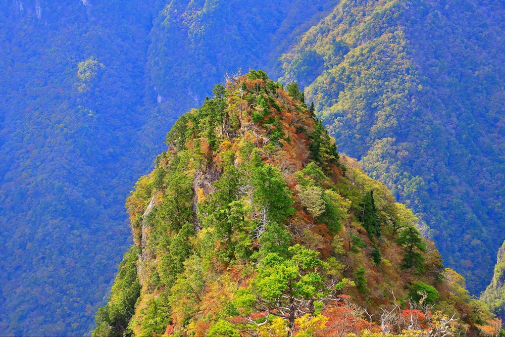 大台ヶ原山（奈良県・三重県）｜紅葉の見頃は例年10月中旬〜下旬