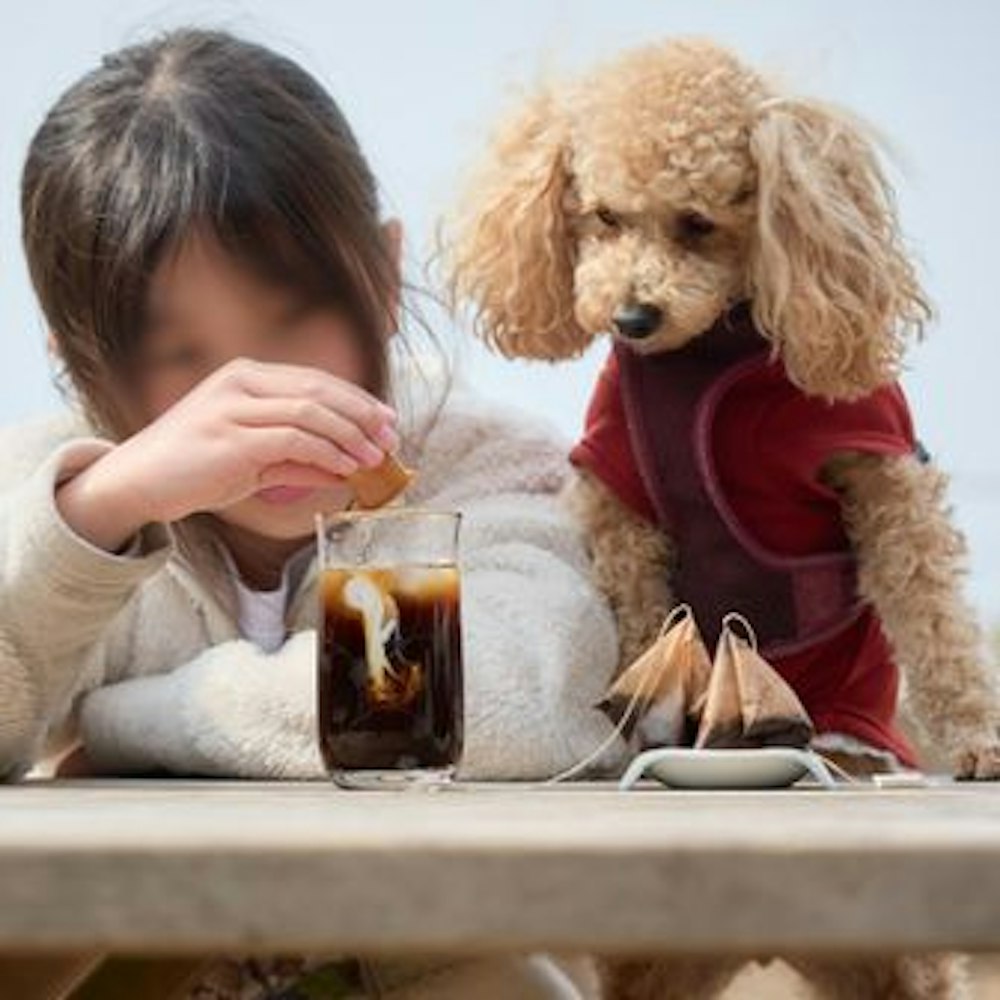子連れ登山さんのレビュー