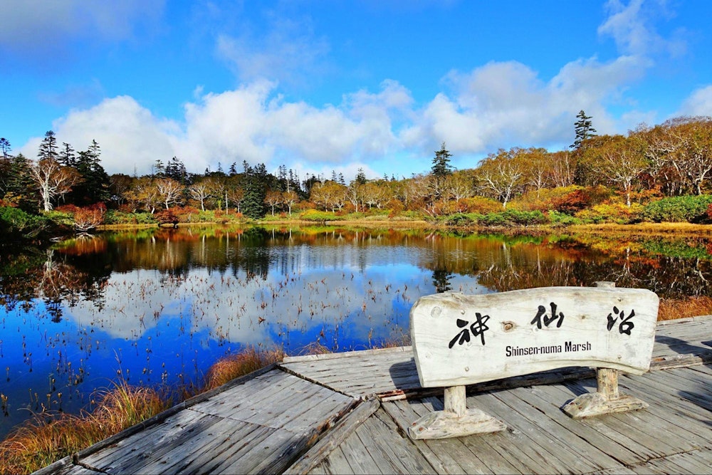 チセヌプリ（北海道）｜紅葉の見頃は例年10月上旬〜10月中旬