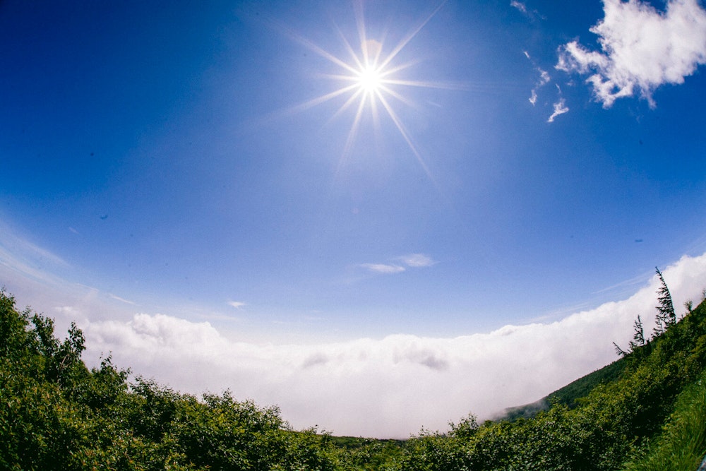 http://www.fujisan-climb.jp/current_status.html