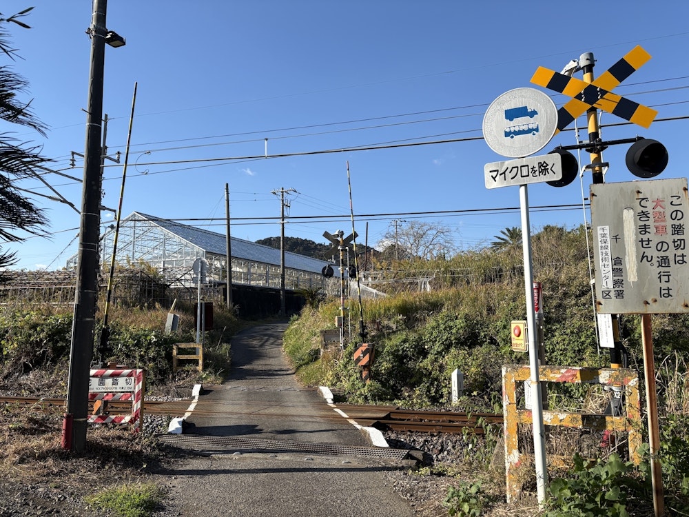 冬のはじまりを南房総の低山で｜小春日和のほがらかハイクにおすすめギアをレビュー