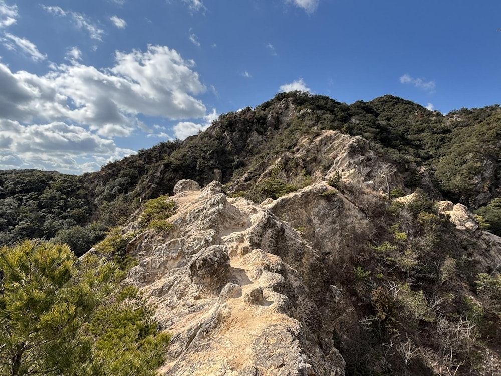 須磨アルプス（兵庫県）｜低山とは思えない絶景の稜線