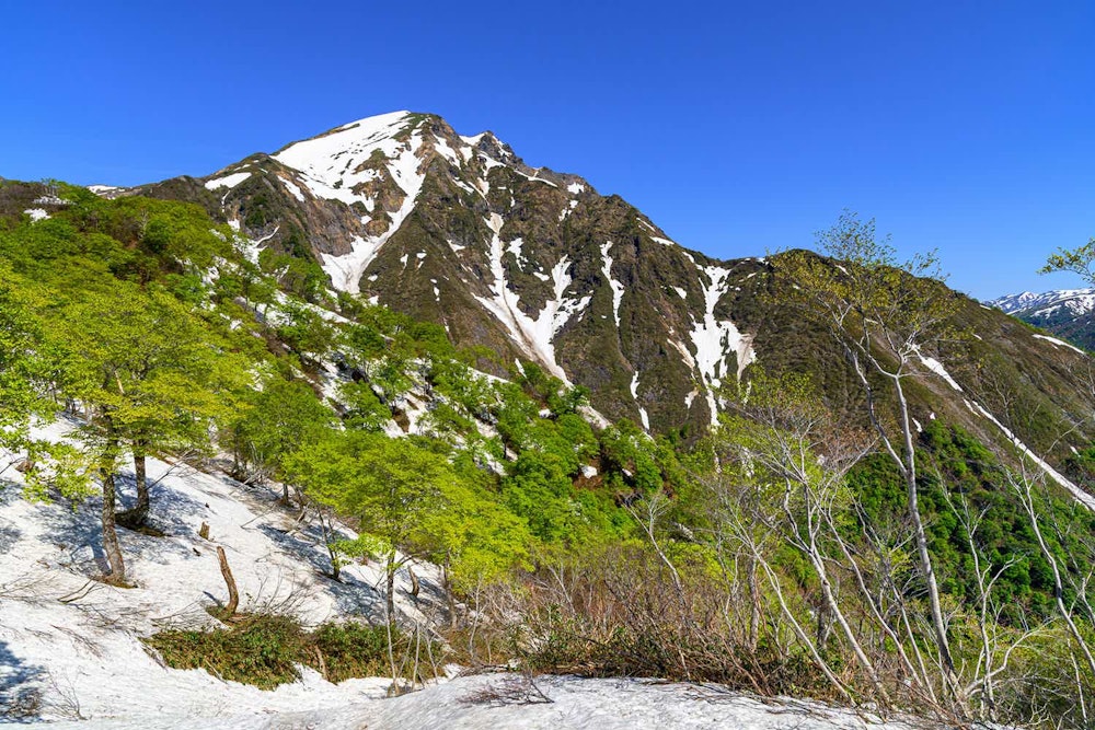 山の思い出をいつも手元に。 YAMAPハイカーズバッジでめぐる私だけの山旅