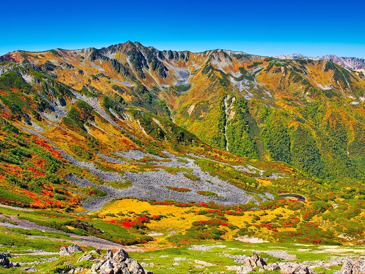 2024 October 山の衣替え