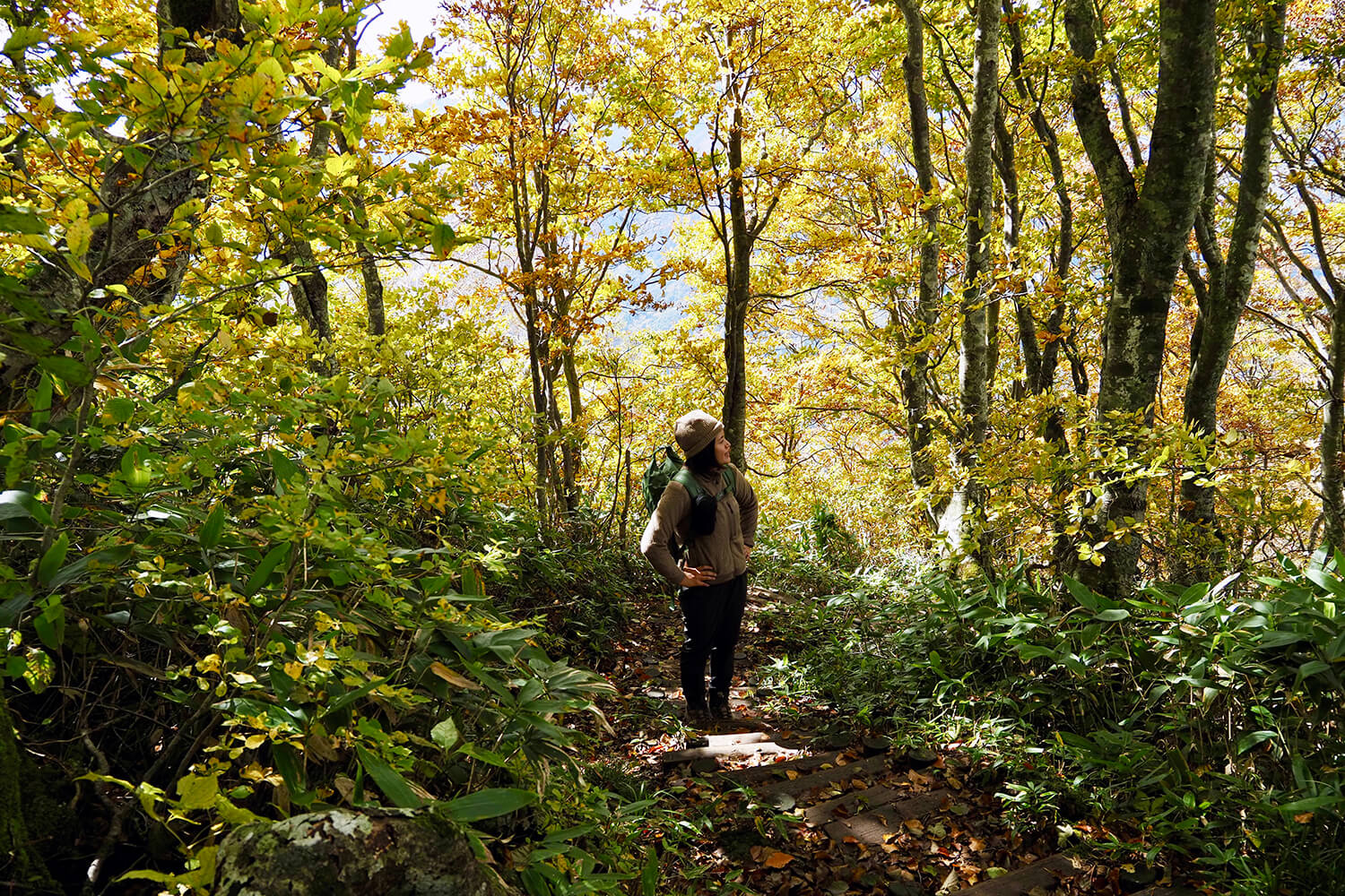 【新品未使用タグ付】YAMAP別注ウィンタートレイルパンツ XSサイズ YAMAPスタッフの本音レビュー｜秋冬のYAMAP別注商品フィールド