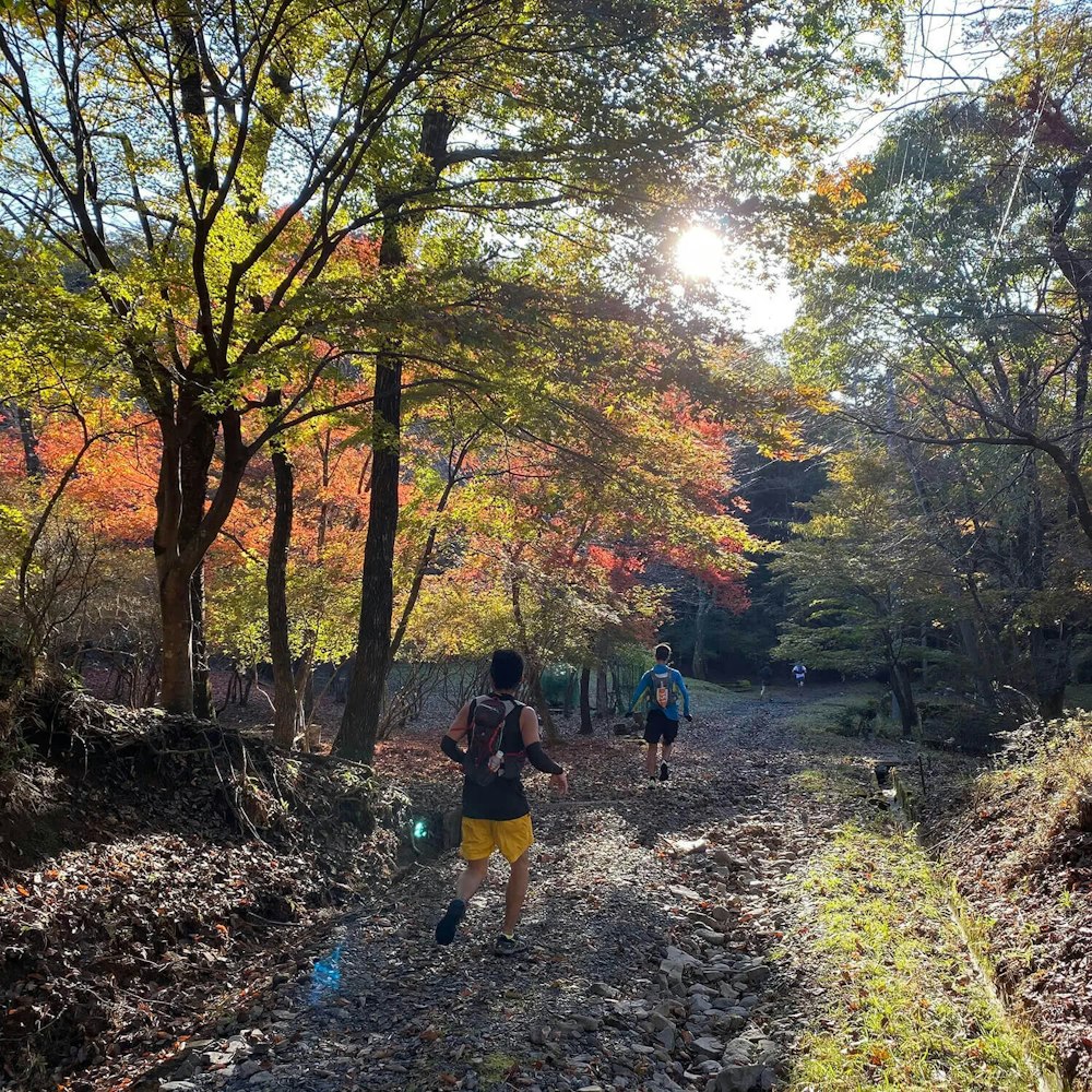 今年は山に走りに行こう!手持ちの登山道具で始めるトレイルランニング