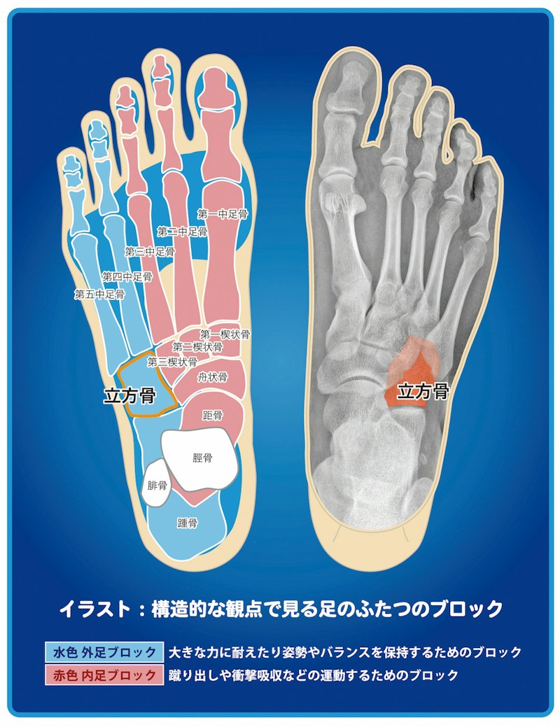 足や腰のトラブルに効果を発揮する、「山を歩くインソール」のバランス 