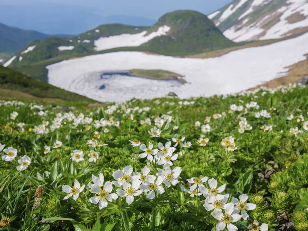 「花が咲く高原や爽やかな稜線の景色が好き」という矢野さんの一押しは「3月/鳥海山」