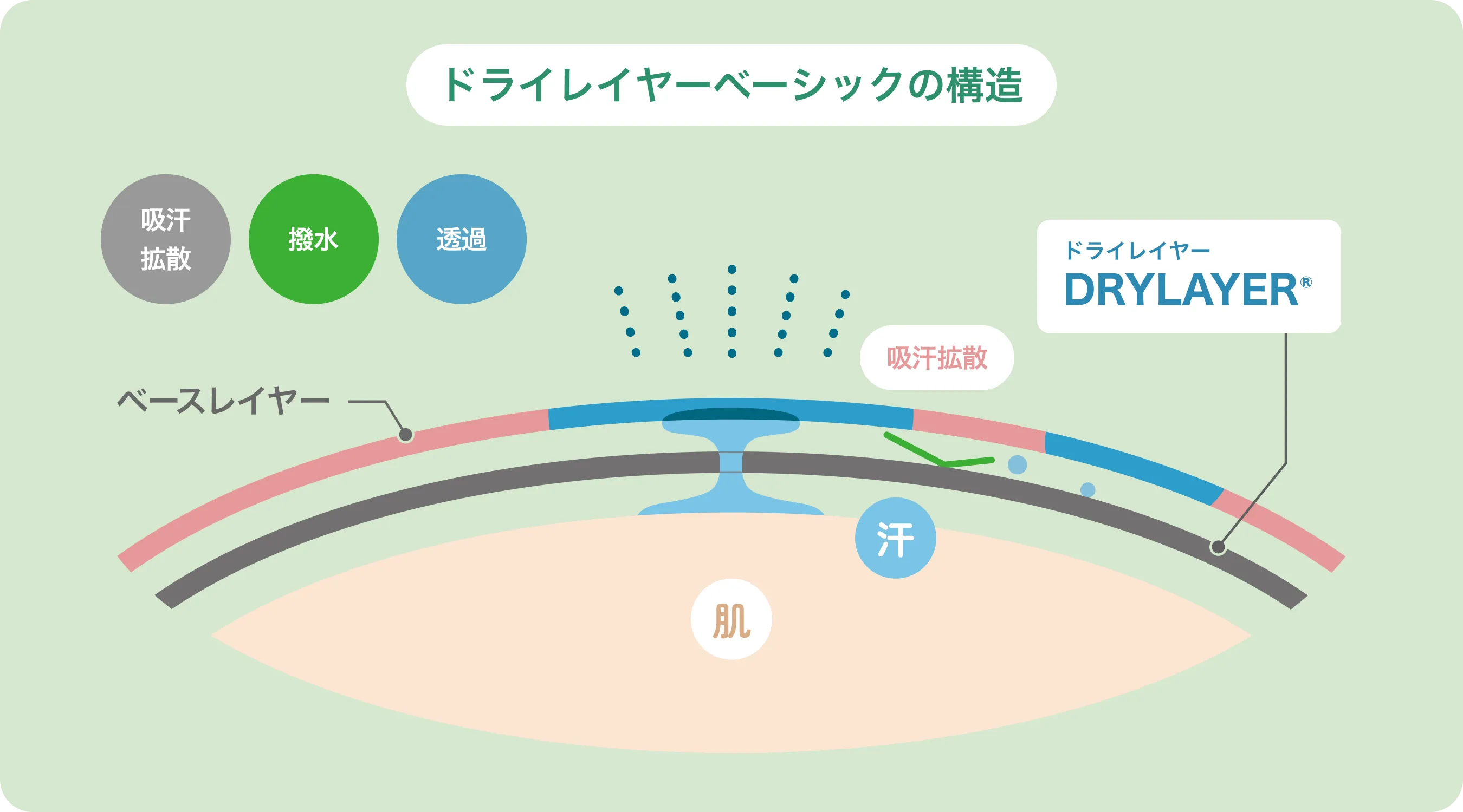 ドライレイヤーベーシックの構造