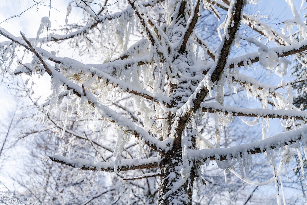 はじめての雪山登山 白銀の景色を求めて