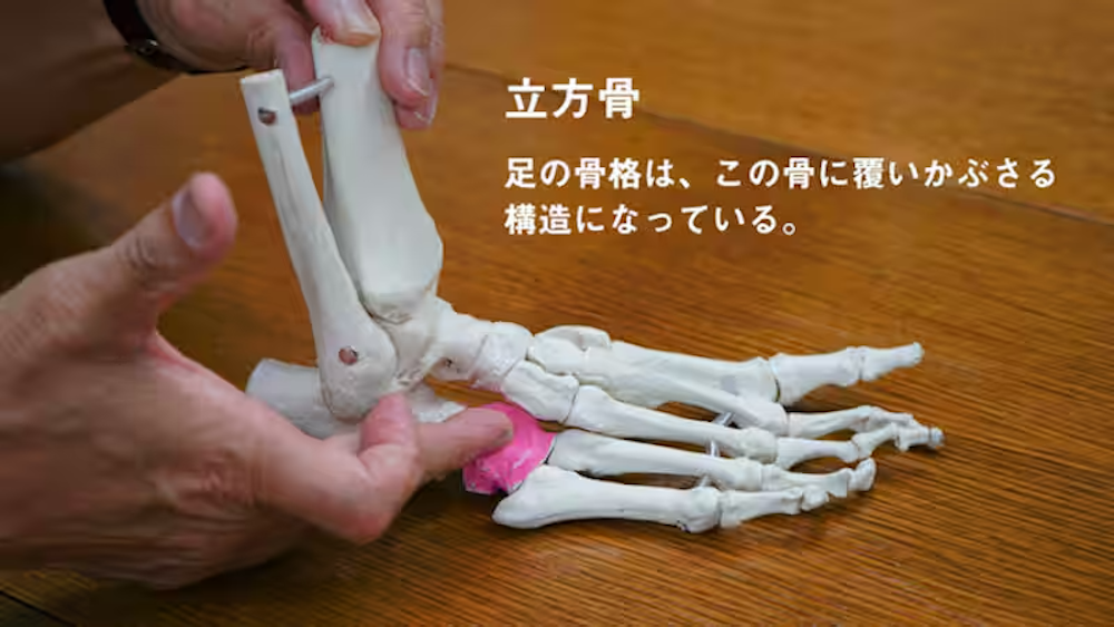 大好きな登山をずっと楽しむために…靴に入れるだけで足の悩みが解消!YAMAP別注 山を歩くインソール