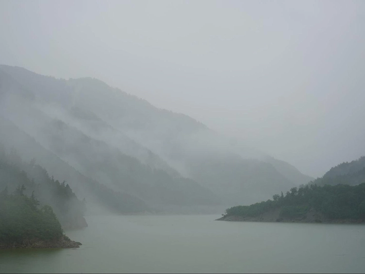 2024 June 雨に打たれて