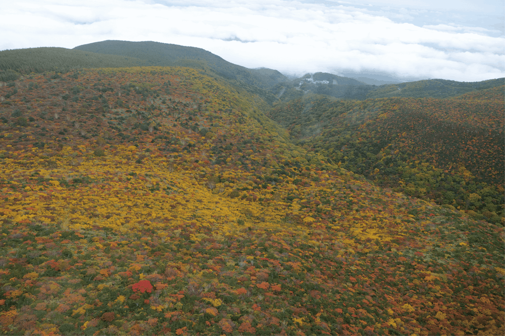 東北の名峰「安達太良山」の自然を守り、未来へ伝える｜Adatara Azuma Nature Center