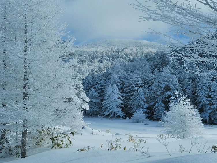 2024 February 雪山に魅せられて