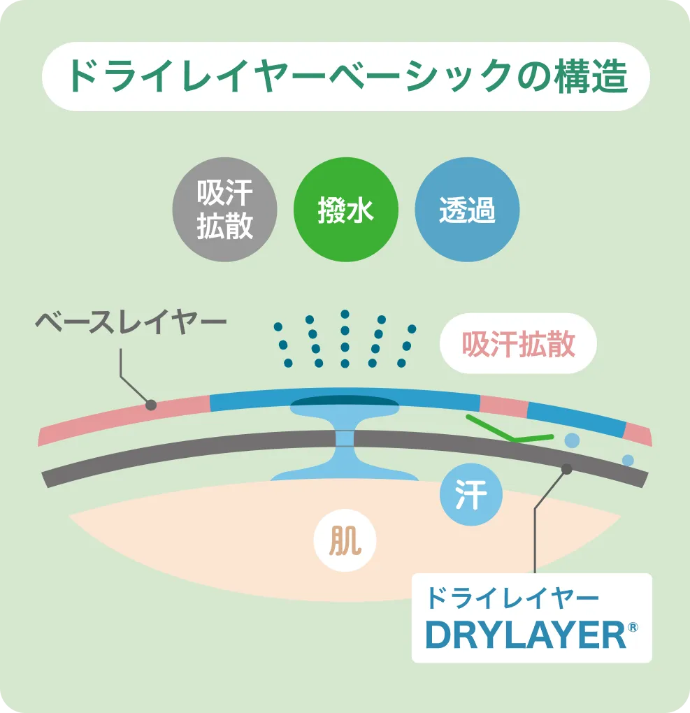ドライレイヤーベーシックの構造