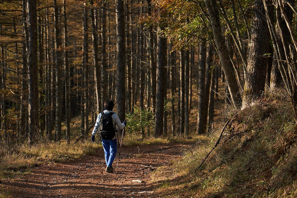 登山用グローブの悩みを解消！ 理想の一双が見つかる選び方を徹底解説