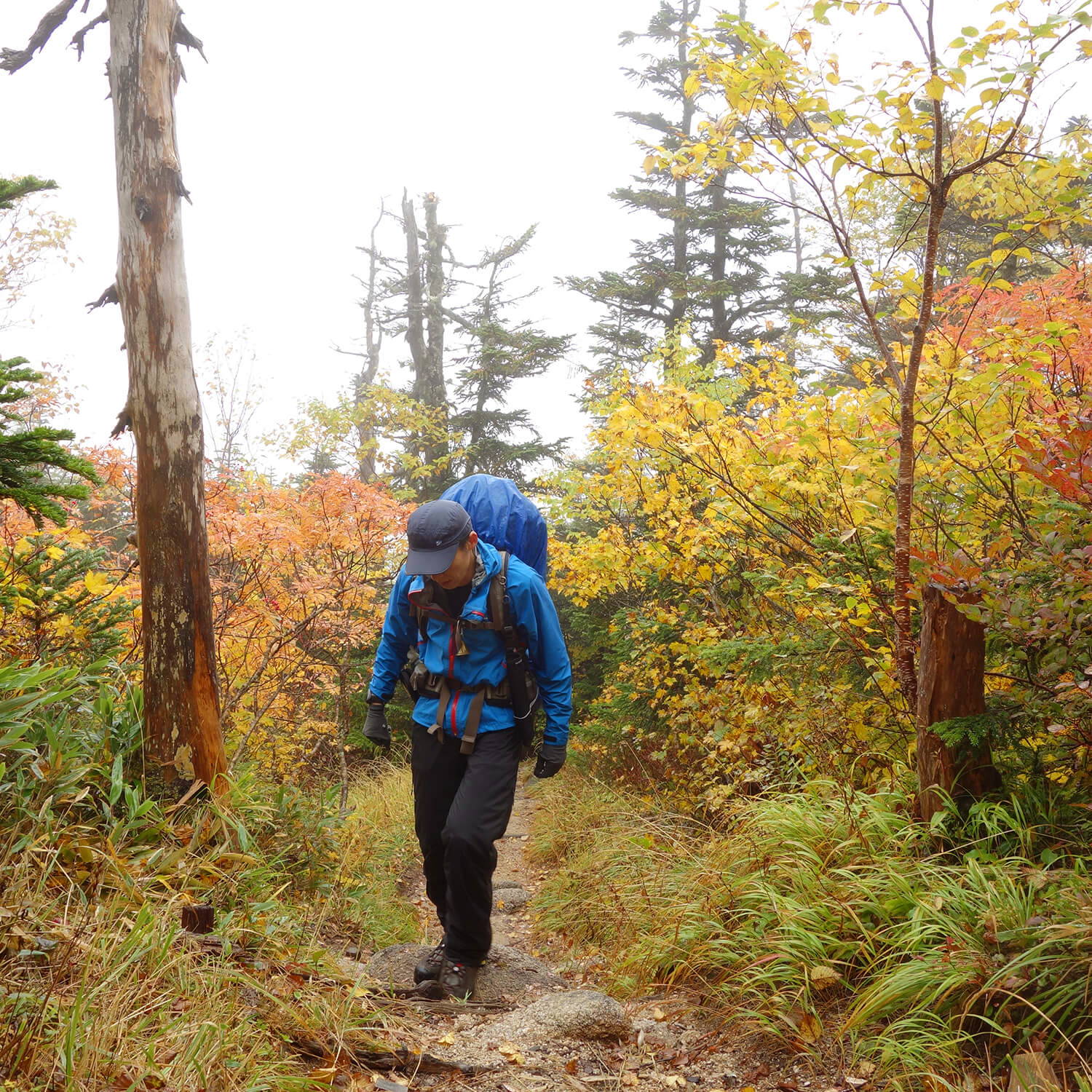 レイヤリングで登山をもっと快適に、安全に。 finetrackが直伝