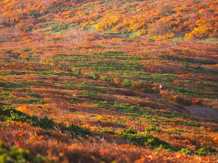2025 October 山の衣替え