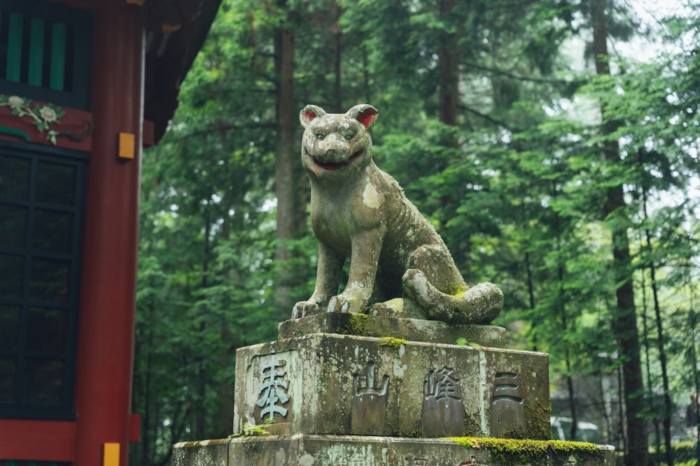 猛暑を逃れて標高1100mの聖地へ|麓から歩く「三峯神社」参拝ハイクと納涼ワザ4つ