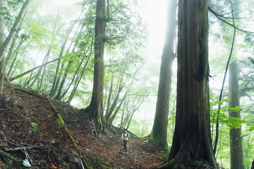 猛暑を逃れて標高1100mの聖地へ|麓から歩く「三峯神社」参拝ハイクと納涼ワザ4つ