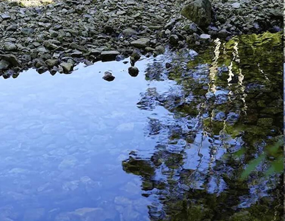 ノーマルレンズ