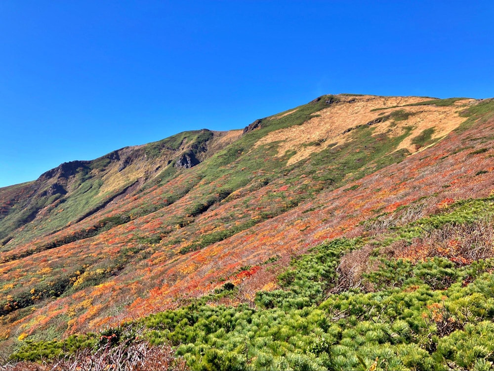栗駒山（宮城・岩手・秋田県）｜紅葉の見頃は例年9月下旬〜10月上旬