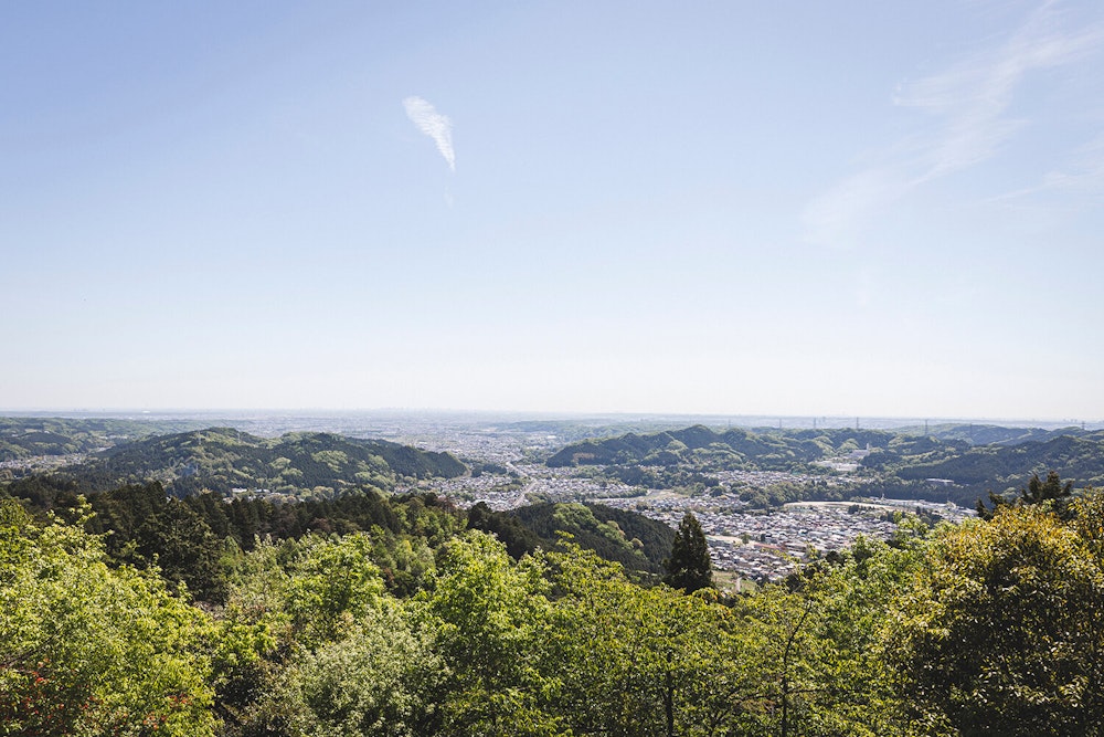 ちょっと巨石に会いたくて。芽吹きの東京低山でソロハイクを楽しむ