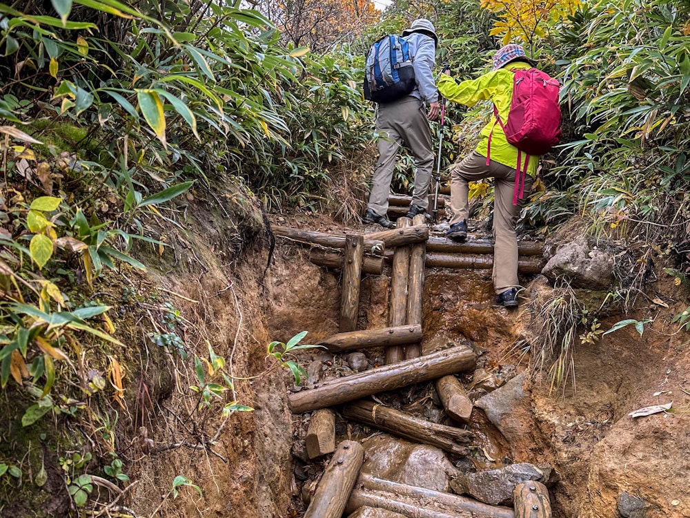 東北の名峰「安達太良山」の自然を守り、未来へ伝える｜Adatara Azuma Nature Center