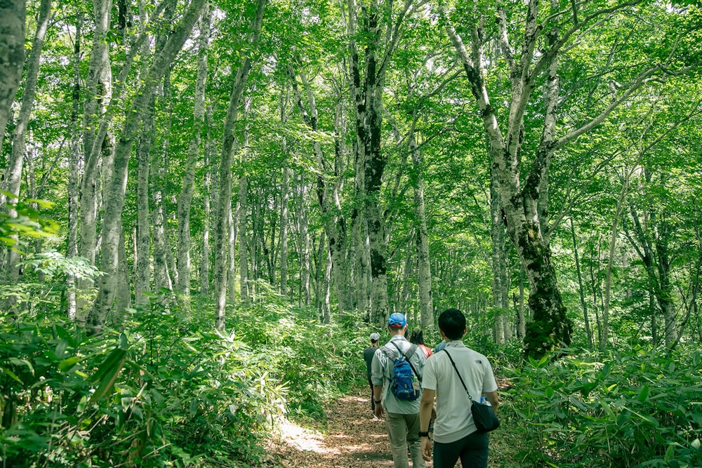 はじめての登山道づくりで知った「100年先までトレイルを繋ぐこと」｜「奥信濃トレイル保全ワークショップ」イベントレポート