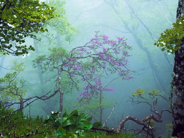 2023 May いのちの芽吹く時