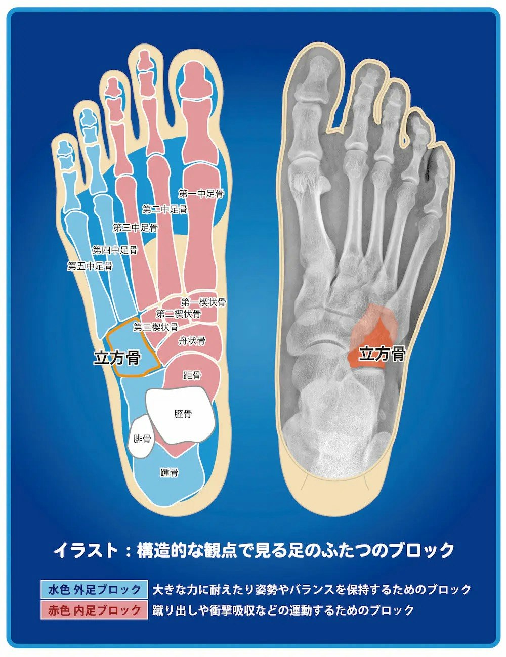 大好きな登山をずっと楽しむために…靴に入れるだけで足の悩みが解消!YAMAP別注 山を歩くインソール