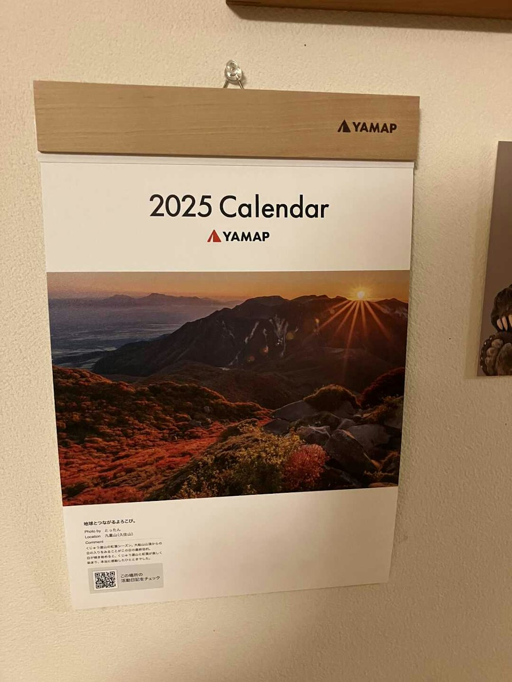 inuya.mapさんのモーメントより