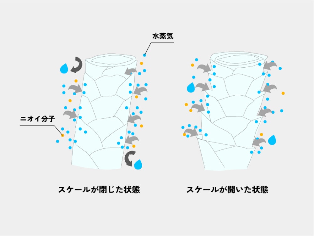 地球想いで高機能!最新サステナブル素材のベースレイヤーを愛用者が骨太レビュー