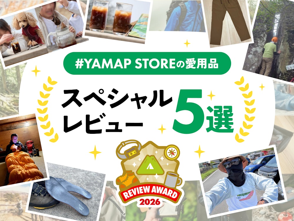 レビューアワード