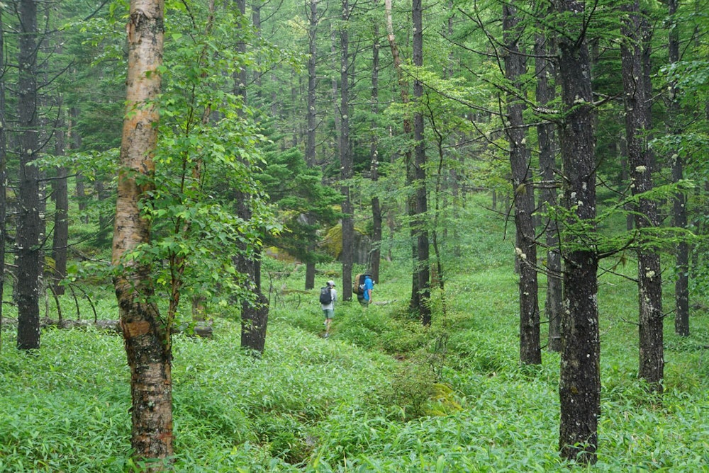 【進化する登山ウェアの最新事情】秋のおすすめベースレイヤーをシーン別でご紹介