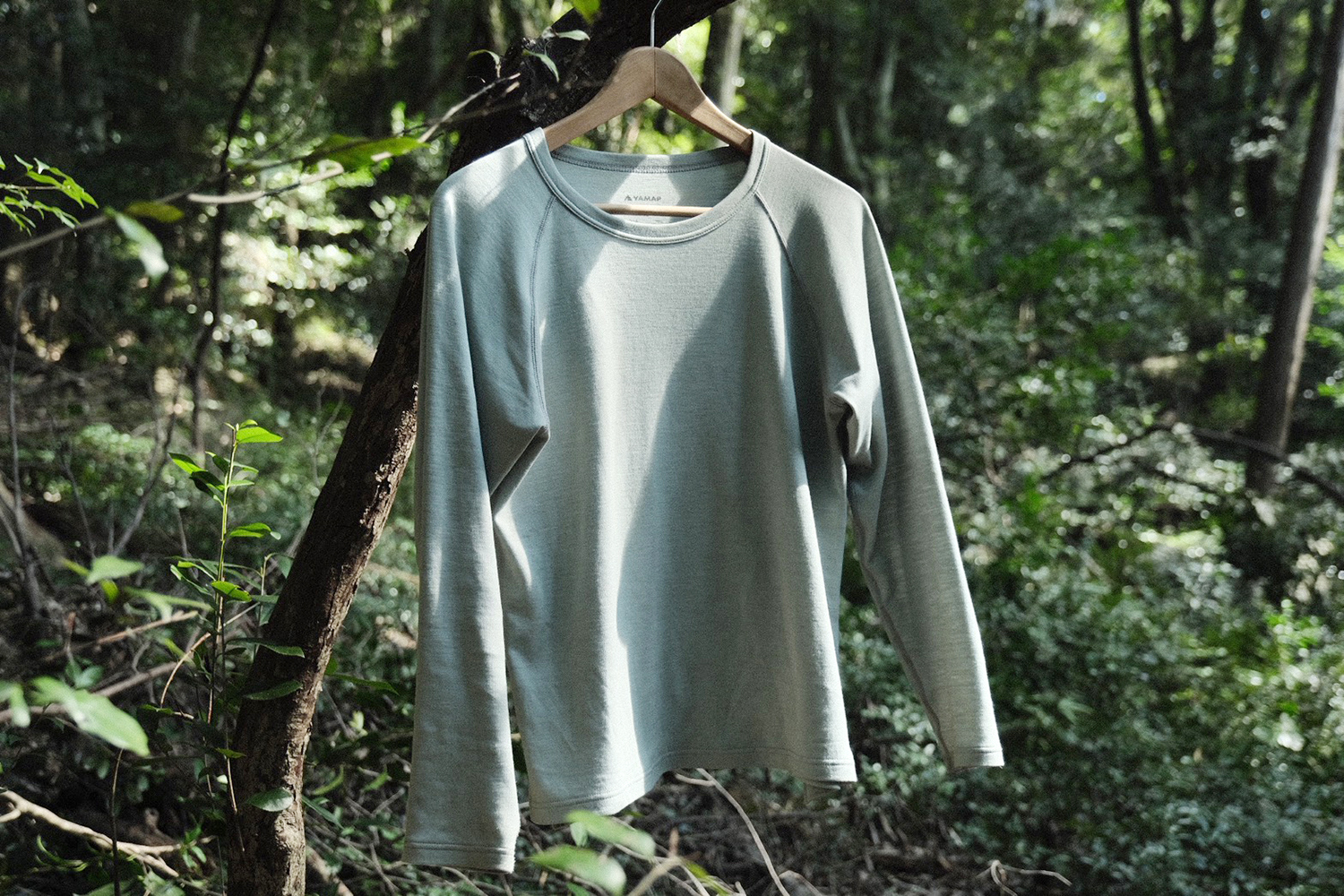 タケノコ山 タケノコ山の最新登山情報 / 人気の登山ルート、写真、天気など